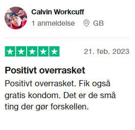 Positive trustpilot review for www.nordictests.dk